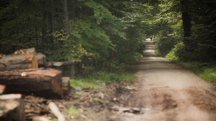 Les espaces verts bruxellois fermés samedi en prévisions de fortes rafales de vent: voici quand ils ouvriront à nouveau