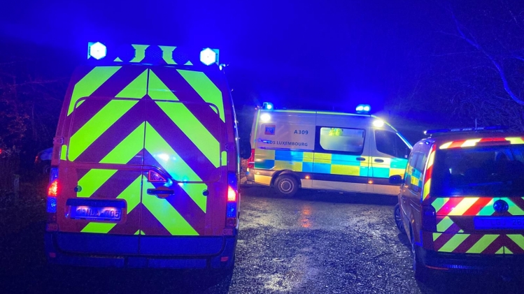 whatsapp_image_2024-12-16_at_10