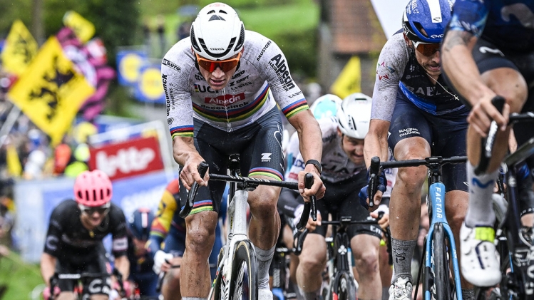 belgaimage-90177551_copie