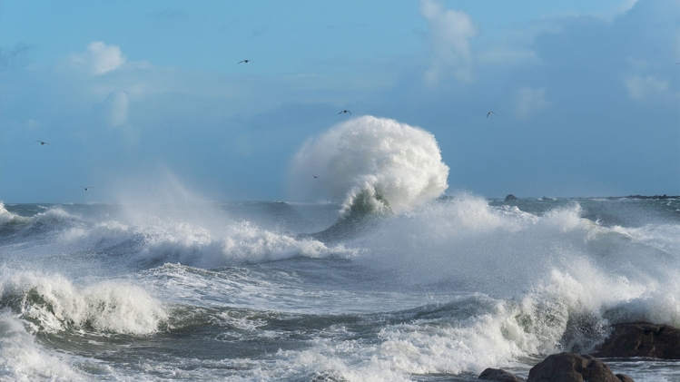 "Il s'agit d'un accident": un timonier belge meurt après être tombé à la mer dans les eaux britanniques
