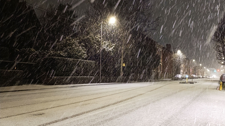 neige_copy