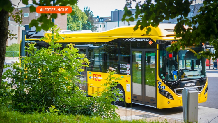 bus-alerte