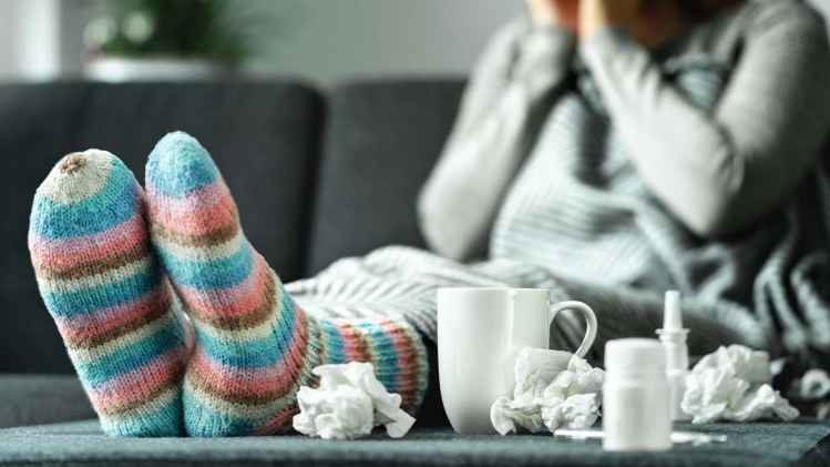 les_maladies_de_lappareil_circulatoire