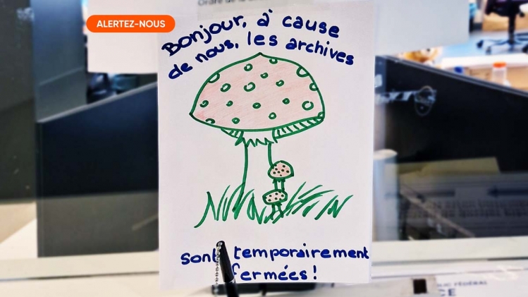 alertez-nous_guillaume_divorce_champignons_v2