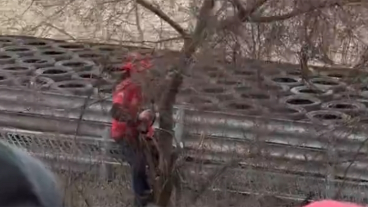 lewis_hamilton_fiorano