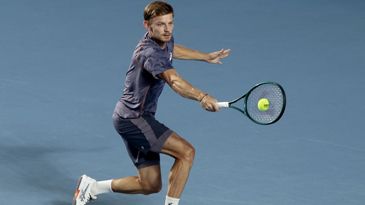 david_goffin_arnaque