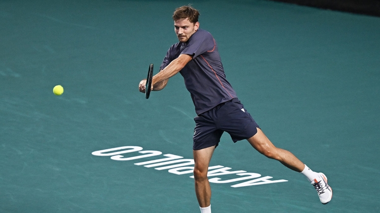 David Goffin
