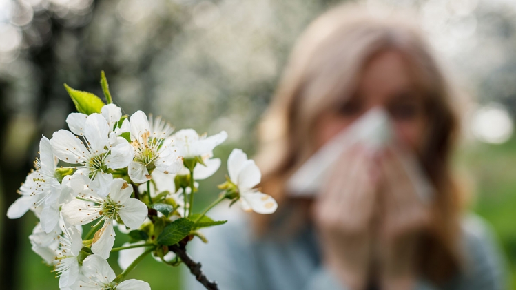 La saison des pollens est de retour