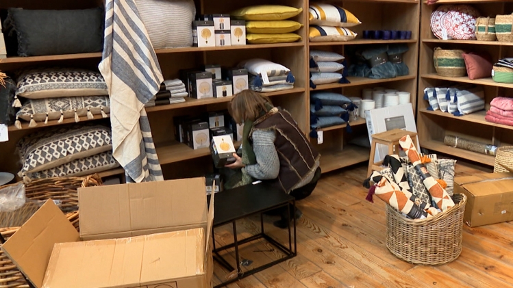 cameleon-travailleuse-2