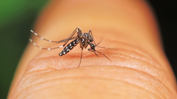 adobestock_395170475