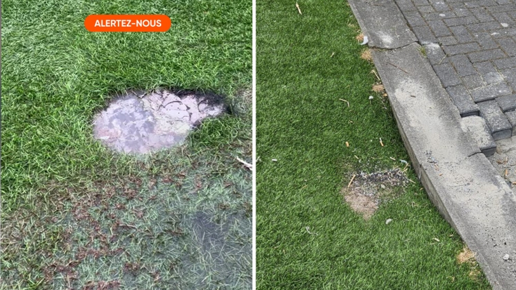 terraindefootdecureghem