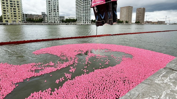 20 000 canards roses photographiés lors de la Pink Duck Race au Kattendijkdok-Oostkaai, à Anvers, le samedi 7 juin 2025. Avec cette course, Think Pink attire l’attention sur la lutte contre le cancer du sein.
