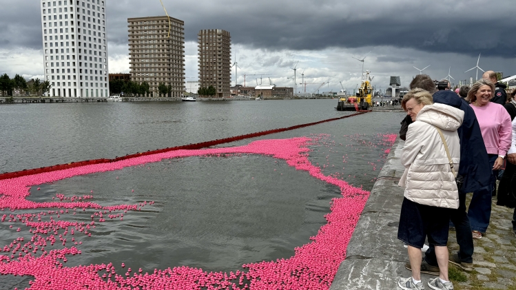 20 000 canards roses photographiés lors de la Pink Duck Race au Kattendijkdok-Oostkaai, à Anvers, le samedi 7 juin 2025. Avec cette course, Think Pink attire l’attention sur la lutte contre le cancer du sein.