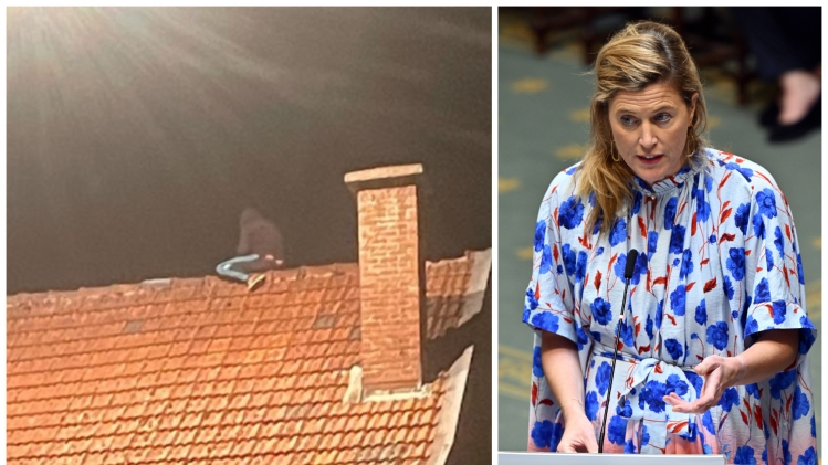 ipiccy_image (12).jpg