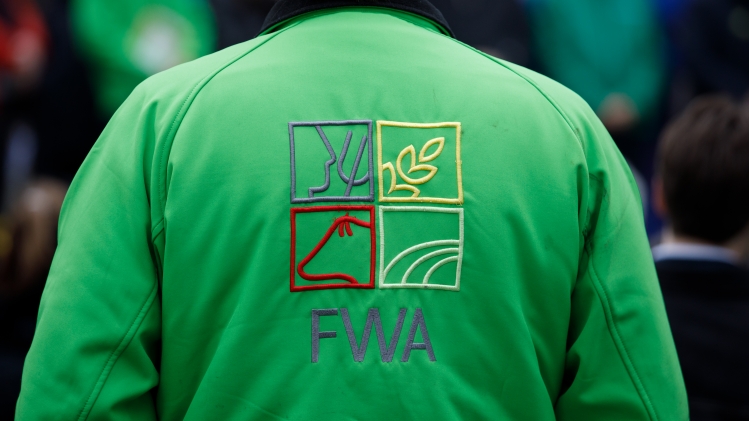 Belgaimage-107747876 (1).jpg