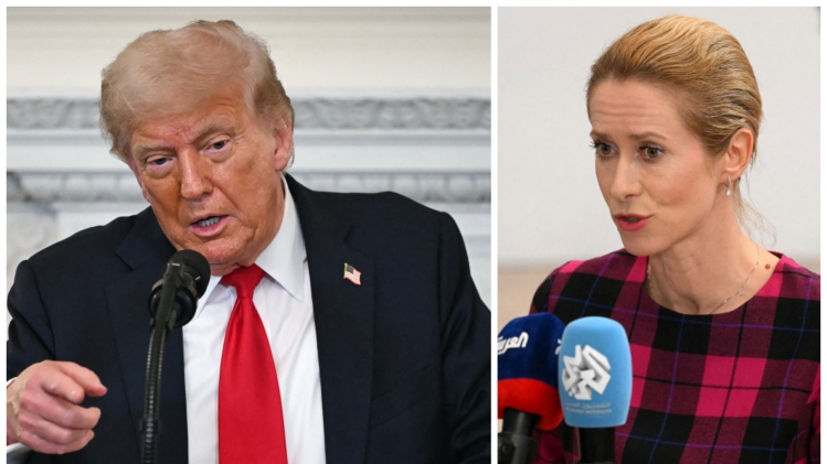 ipiccy_image (21).jpg