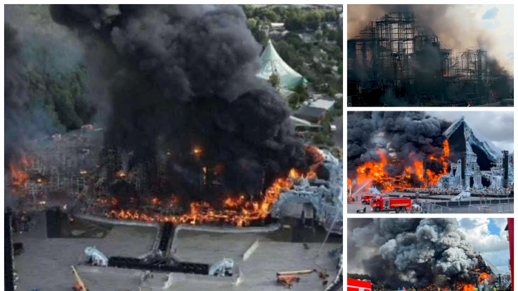 ipiccy_image (32).jpg