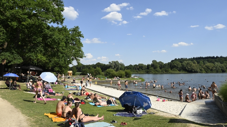 PHOTONEWS_11154559-003