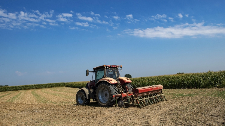 PHOTONEWS_10820057-039