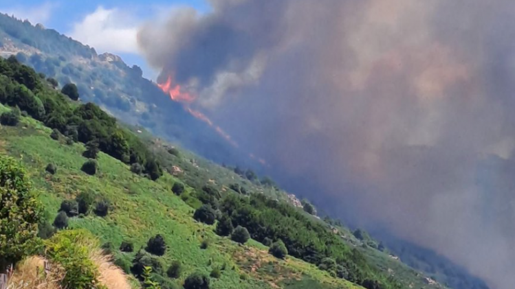 Capture d’écran 2025-07-17 185937.png