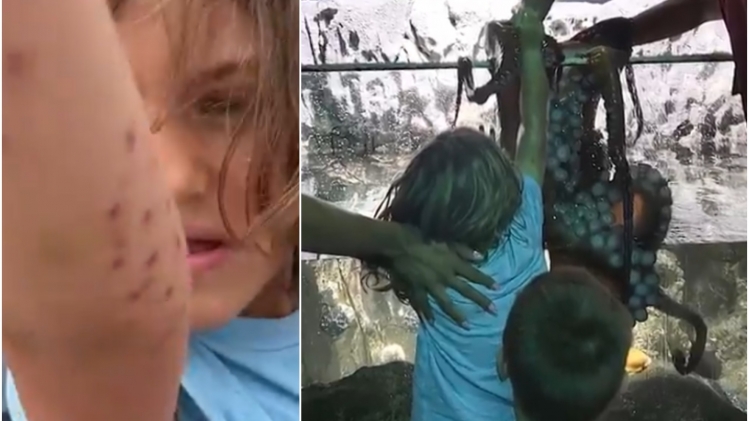 ipiccy_image (9).jpg