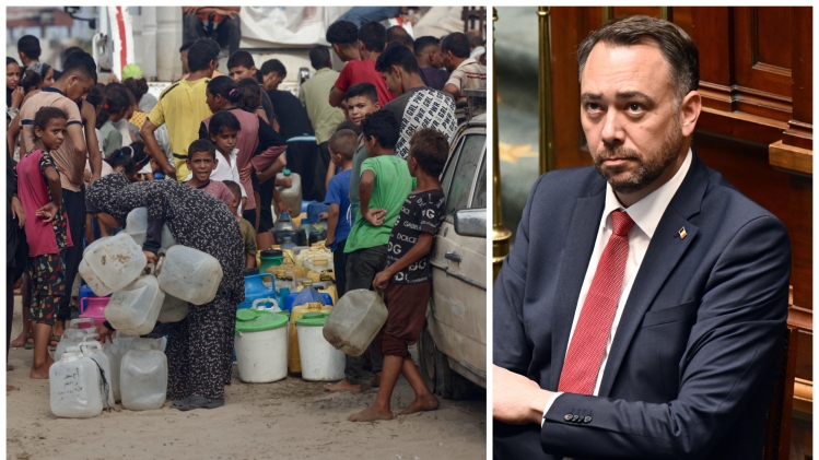 ipiccy_image (70).jpg