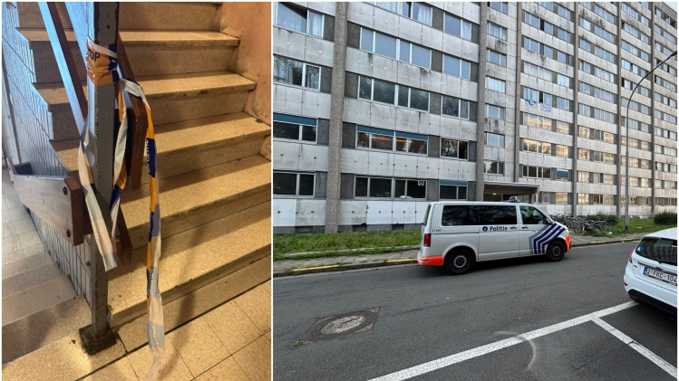 ipiccy_image (79).jpg