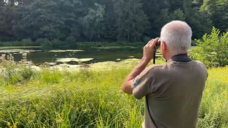 Capture natagora.JPG