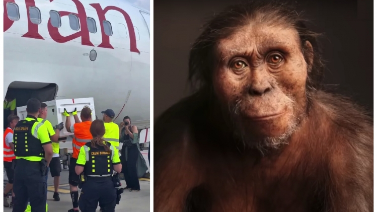 ipiccy_image (17).jpg