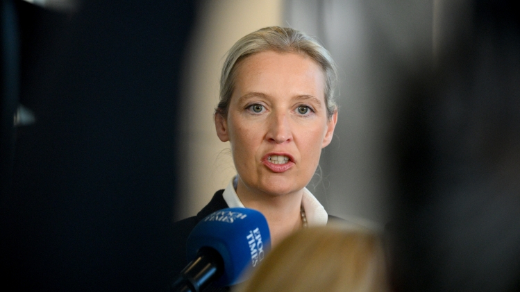 Alice Weidel a donné du grain à moudre aux théories complotistes.