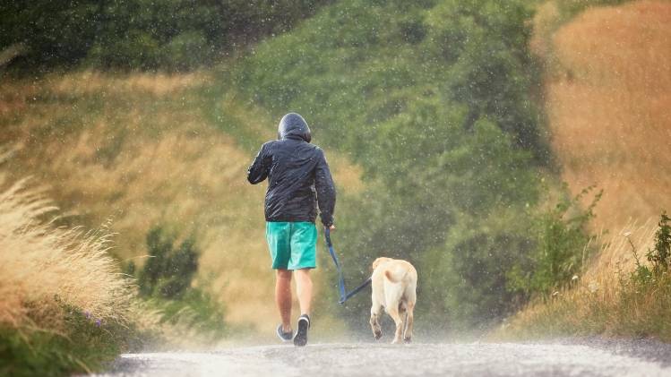 Homme et son chien sous la pluie