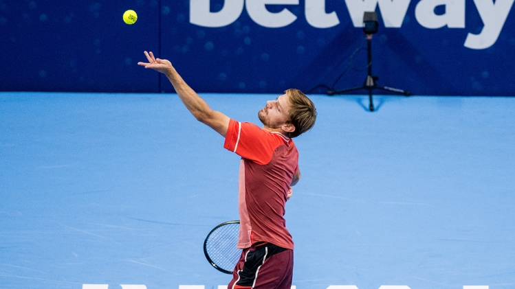 David-goffin.jpg
