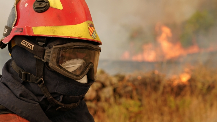 Belgaimage-134478181 (1).jpg