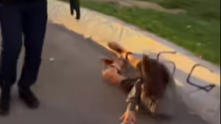 Capture d’écran 2025-09-19 184706.png