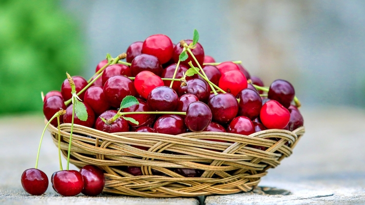 cherry-2554364_1280.jpg