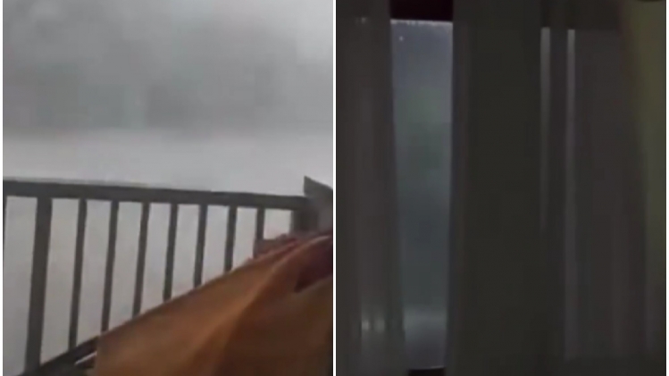 ipiccy_image (75).jpg