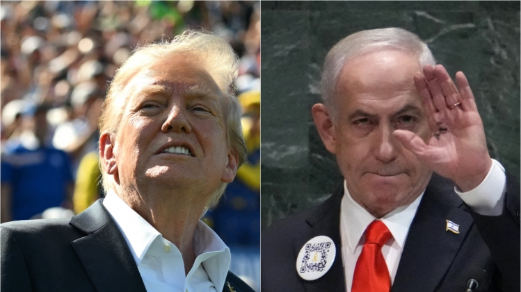 ipiccy_image (3).jpg