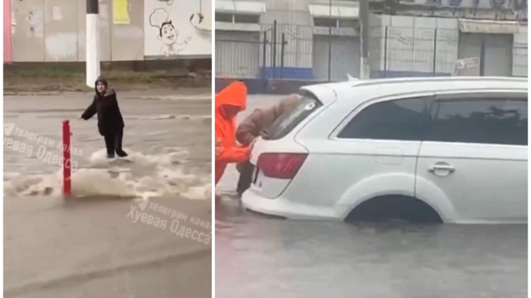 ipiccy_image - 2025-10-01T080905.028.jpg