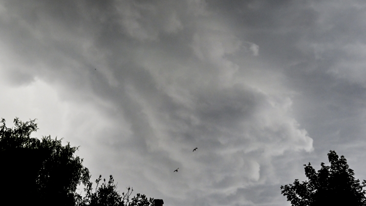 BELGA PHOTO DIRK WAEM