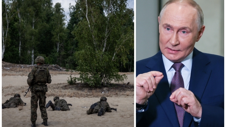 ipiccy_image - 2025-11-04T170517.022.jpg