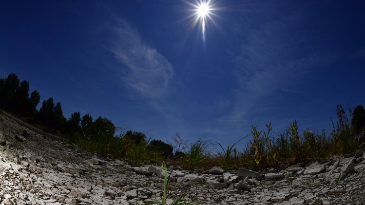 Belgaimage-73608950 (1).jpg