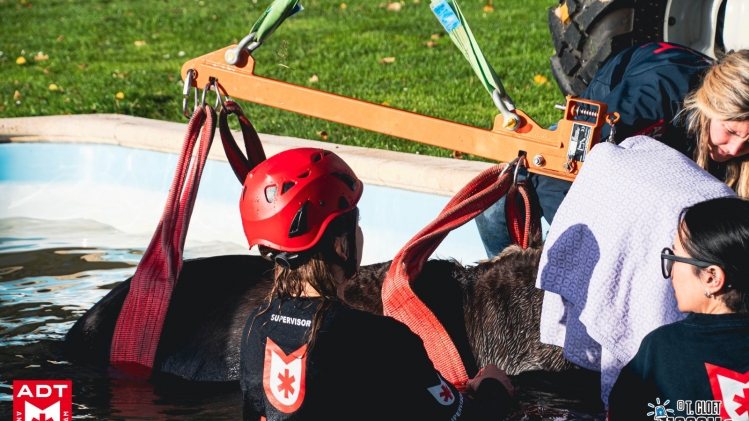 WhatsApp Image 2025-11-06 at 09.37.39-3.jpeg