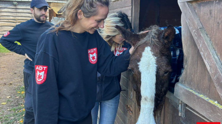 Design sans titre.png