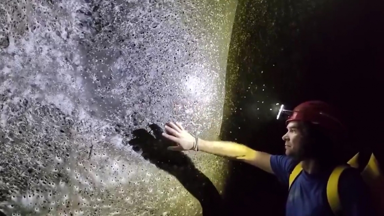 Capture d’écran 2025-11-07 092801.jpg