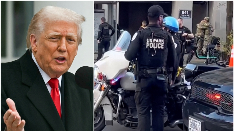 ipiccy_image (96).jpg