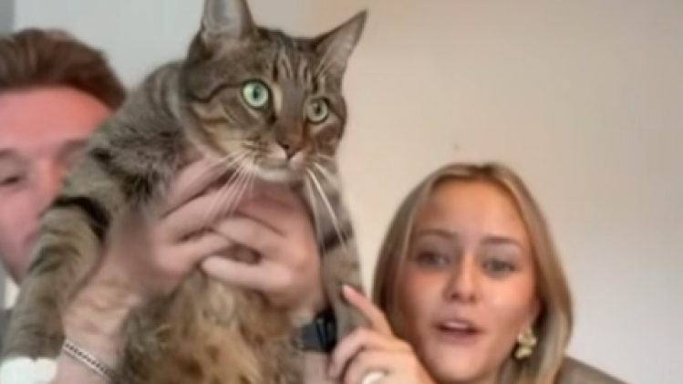 djenoooo en caro.png