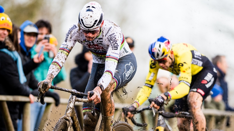 Belgaimage-83375174 copy.jpg