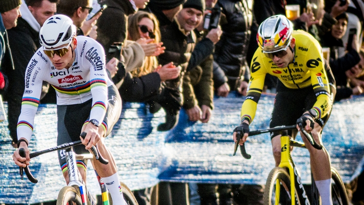 Belgaimage-150832370 copy.jpg