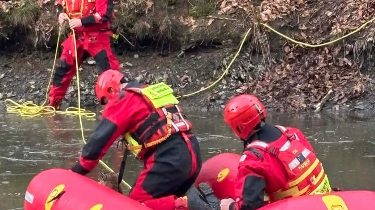 WhatsApp Image 2025-12-31 at 11.00.59 (1).jpeg