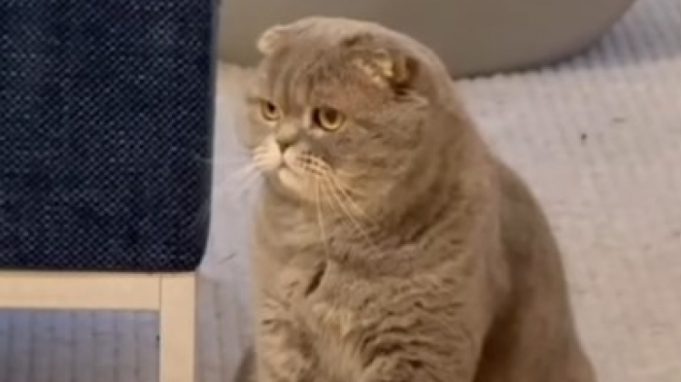 Capture d’écran 2026-01-09 175140.jpg